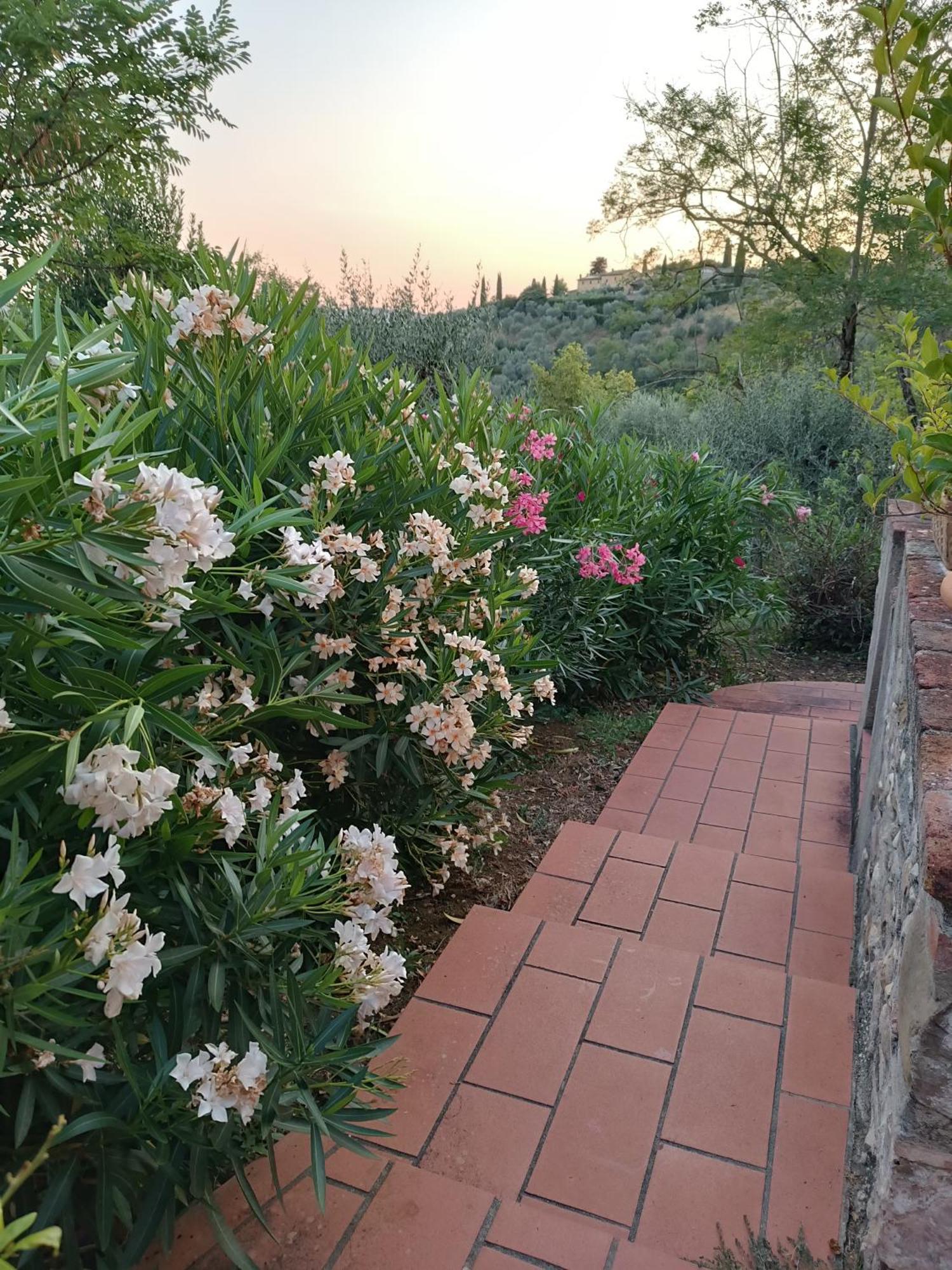 Le Massucce San Casciano in Val di Pesa Exterior foto