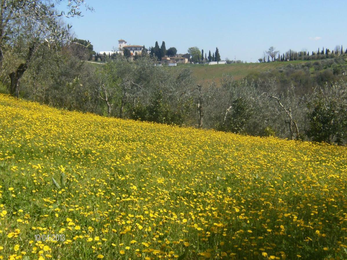 Le Massucce San Casciano in Val di Pesa Exterior foto